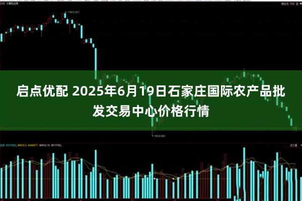 启点优配 2025年6月19日石家庄国际农产品批发交易中心价格行情