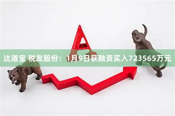 达道宝 税友股份：1月9日获融资买入723565万元