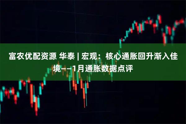 富农优配资源 华泰 | 宏观：核心通胀回升渐入佳境——1月通胀数据点评
