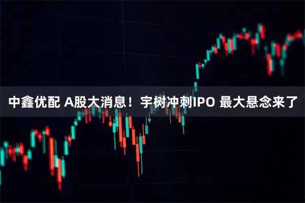 中鑫优配 A股大消息！宇树冲刺IPO 最大悬念来了