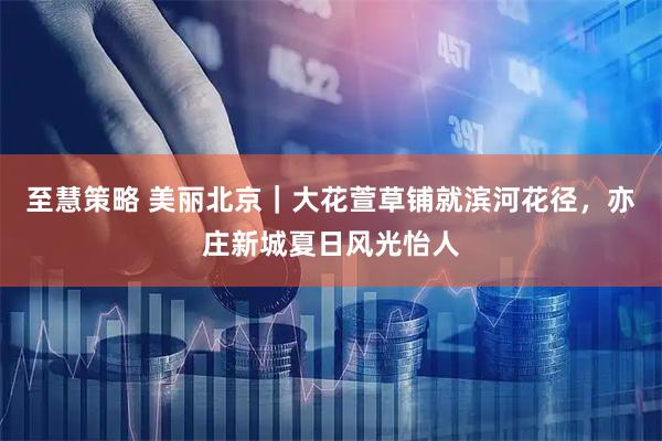 至慧策略 美丽北京｜大花萱草铺就滨河花径，亦庄新城夏日风光怡人