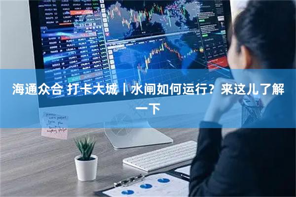 海通众合 打卡大城｜水闸如何运行？来这儿了解一下