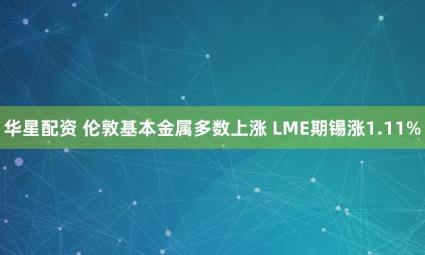 华星配资 伦敦基本金属多数上涨 LME期锡涨1.11%